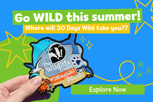 30 Days Wild