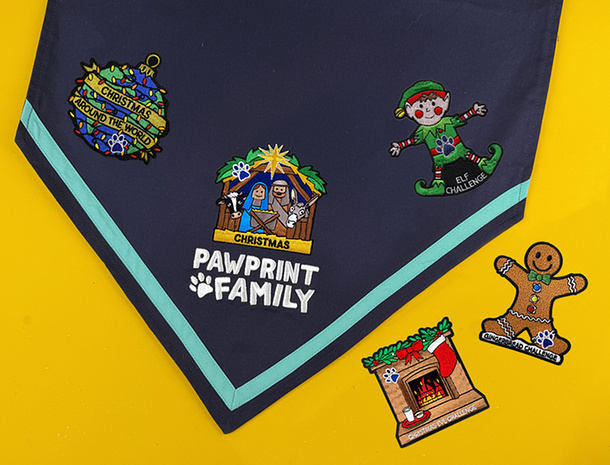 Shop Christmas Challenge Badges