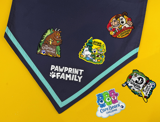 Discover Official Partnership Challenge Badges
