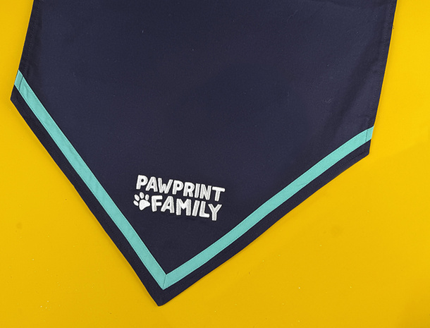Display Your Achievements with Pride