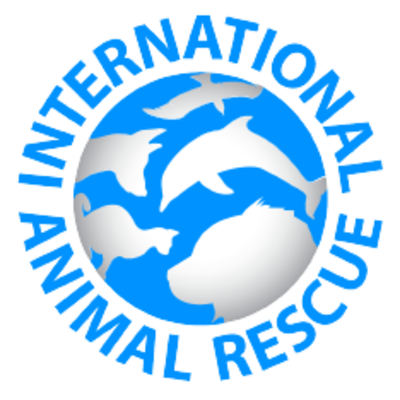 International Animal Rescue