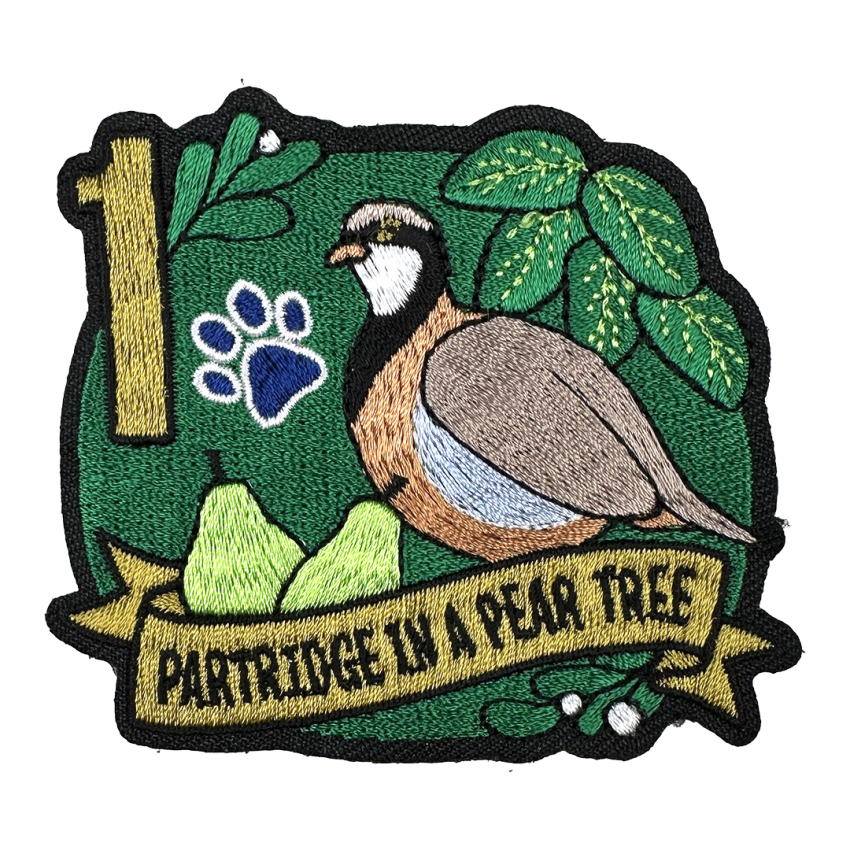 12 Day Advent Calendar - 12 Days of Christmas | Pawprint Family