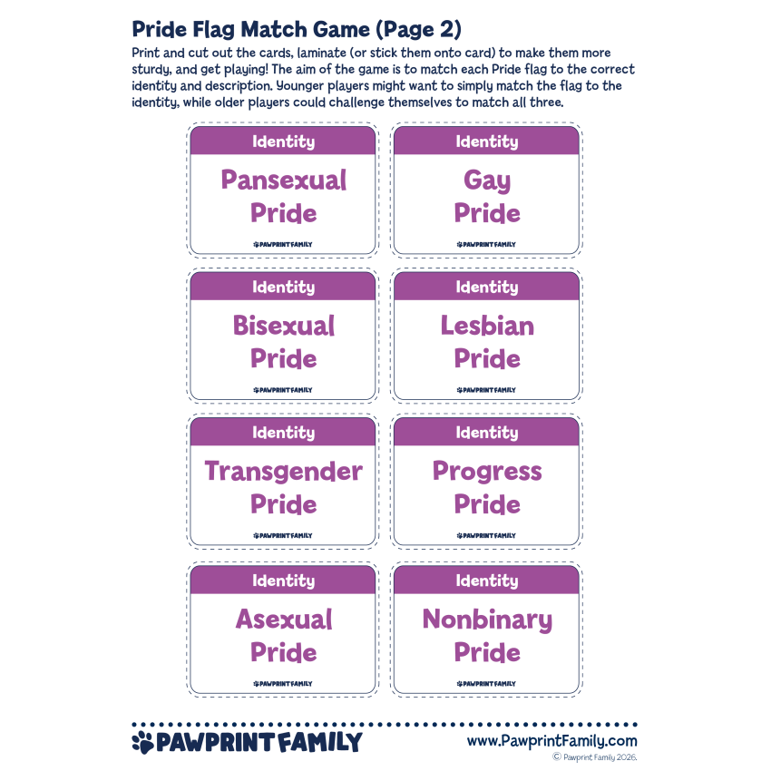 Pride Flag Match Game 2