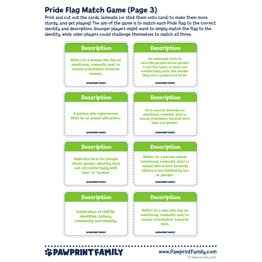 Pride Flag Match Game 3