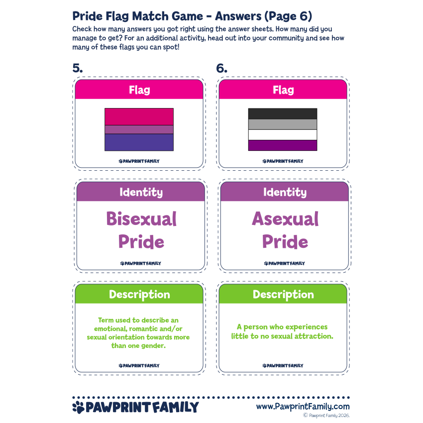 Pride Flag Match Game 6