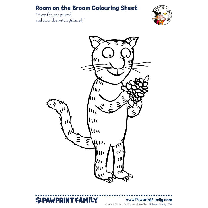 Room On The Broom Colouring Sheets Full Pack 2