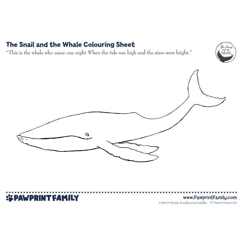 The Snail And The Whale Colouring Sheets 1