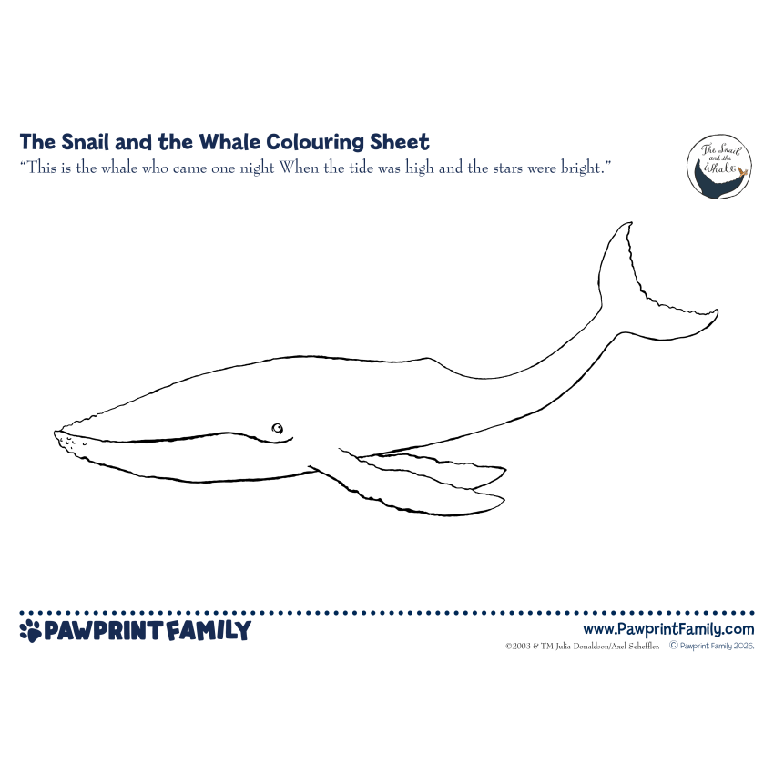 The Snail And The Whale Colouring Sheets Full Pack 2