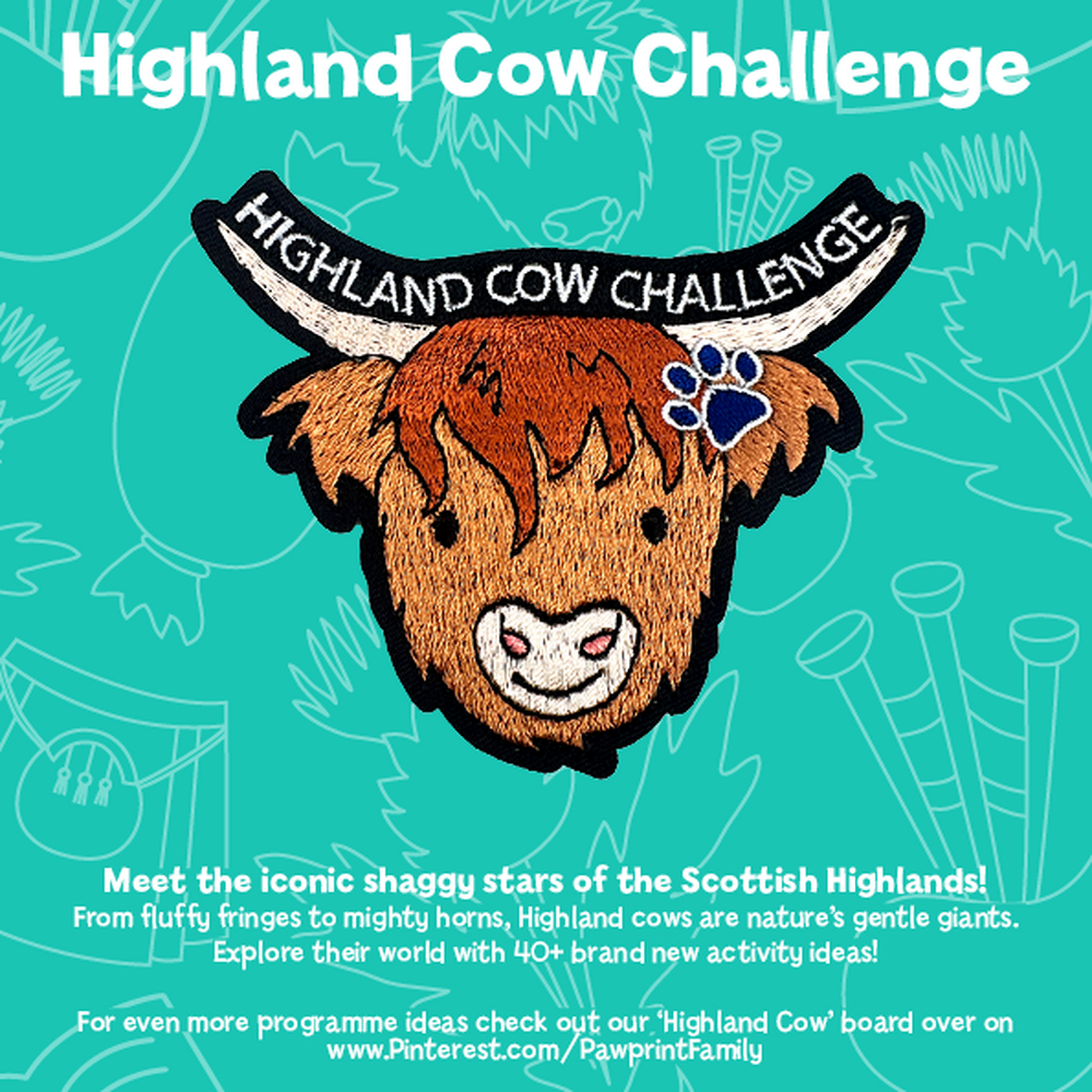 Highland Cow Challenge Pack