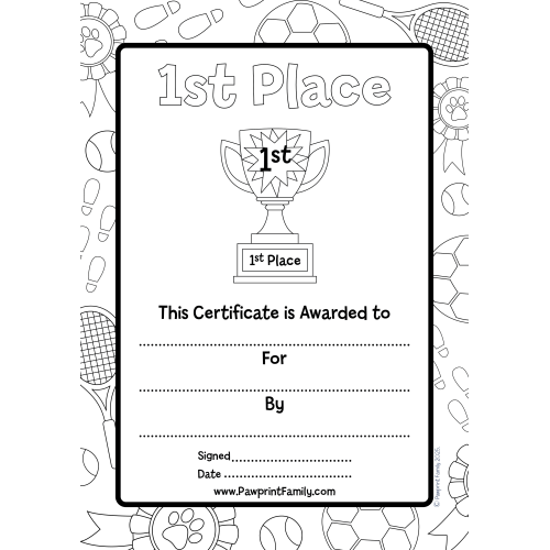 1st Place Certificate