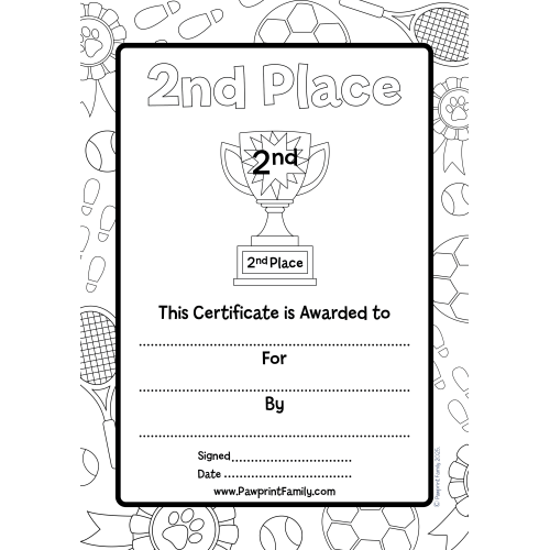 2nd Place Certificate