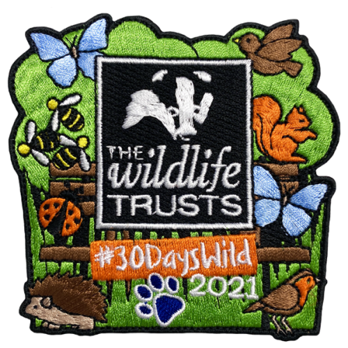 30 Days Wild - 2021