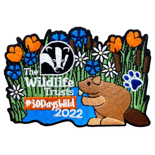 30 Days Wild - 2022