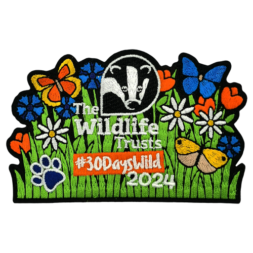 30 Days Wild - 2024