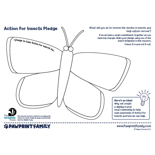 Action For Insects Pledge