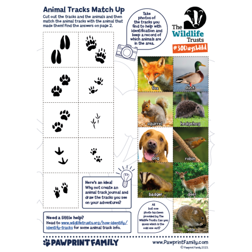 Animal Tracks Match Up