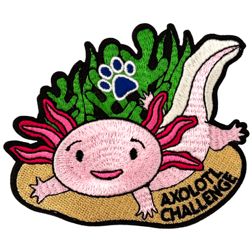 Axolotl Challenge