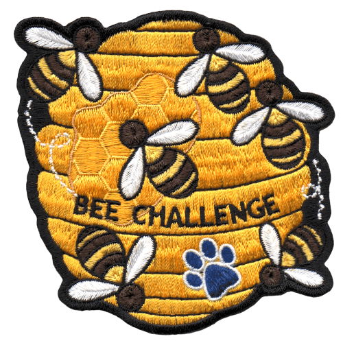 Bee Challenge