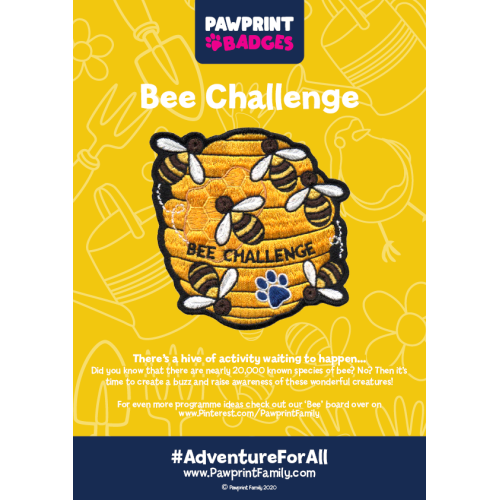 Bee Challenge Pack