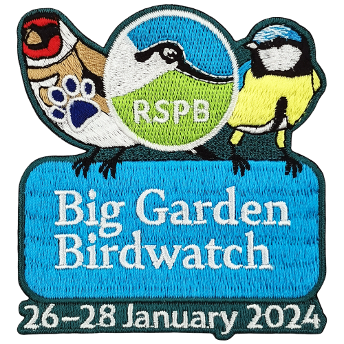 Big Garden Birdwatch - 2024