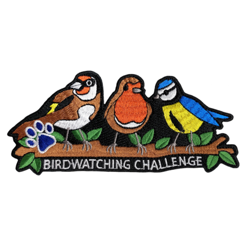 Birdwatching Challenge