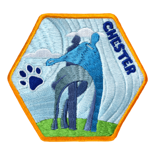 Chester Trail Badge