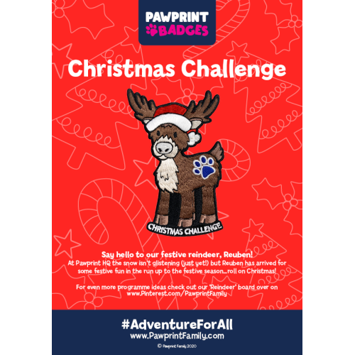 Christmas Reindeer Challenge Pack