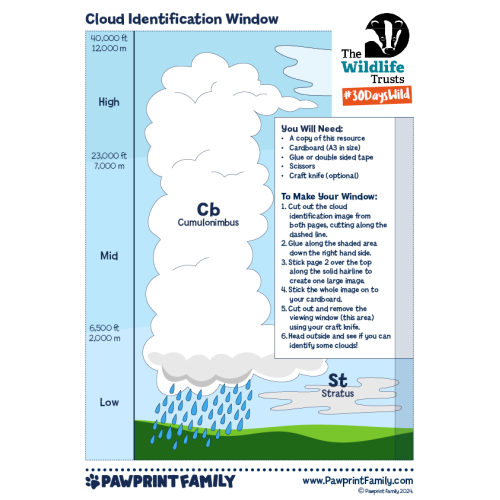 Cloud Identification Window