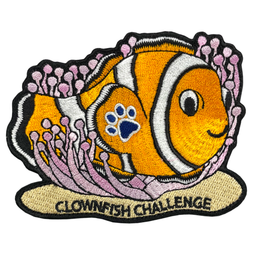 Clownfish Challenge