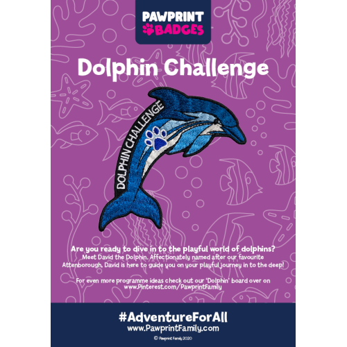 Dolphin Challenge Pack