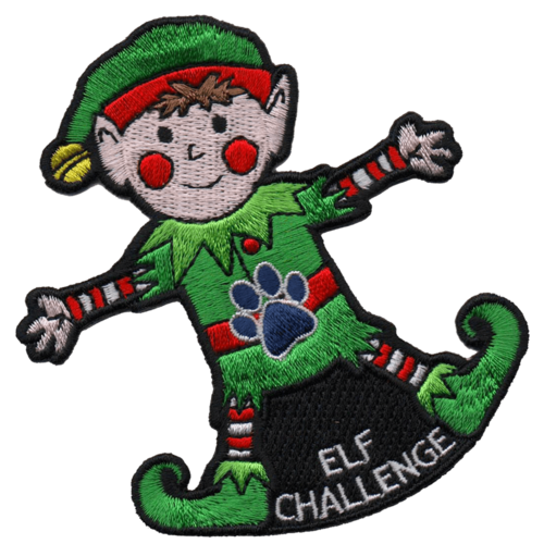 Elf Challenge