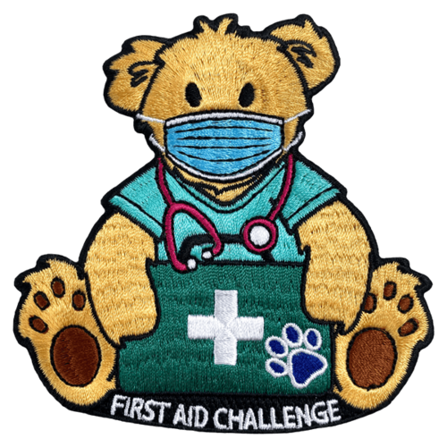 First Aid Challenge