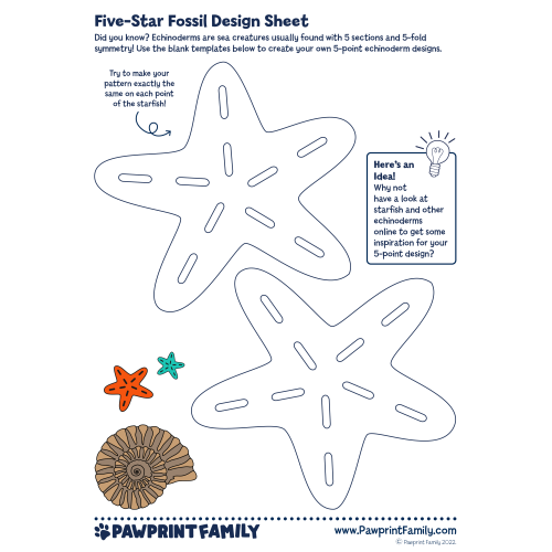 Five-Star Fossil Design Sheet