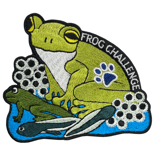 Frog Challenge