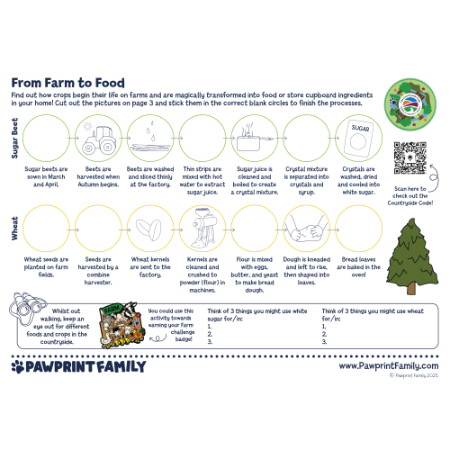 From Farm to Food