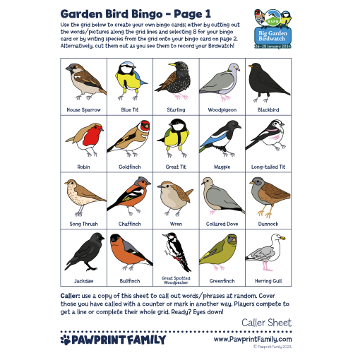 Garden Bird Bingo