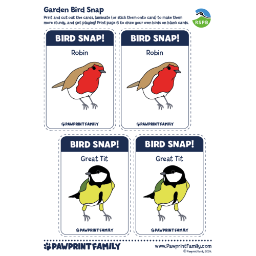 Garden Bird Snap