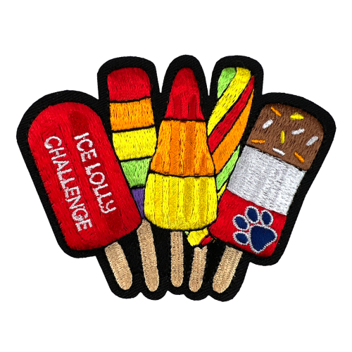 Ice Lolly Challenge
