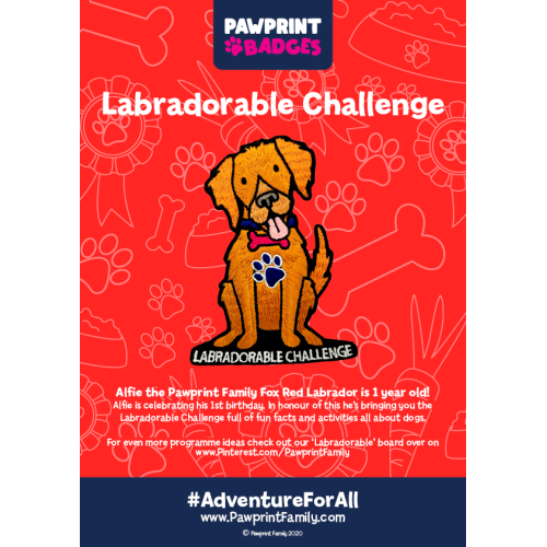 Labradorable Challenge Pack