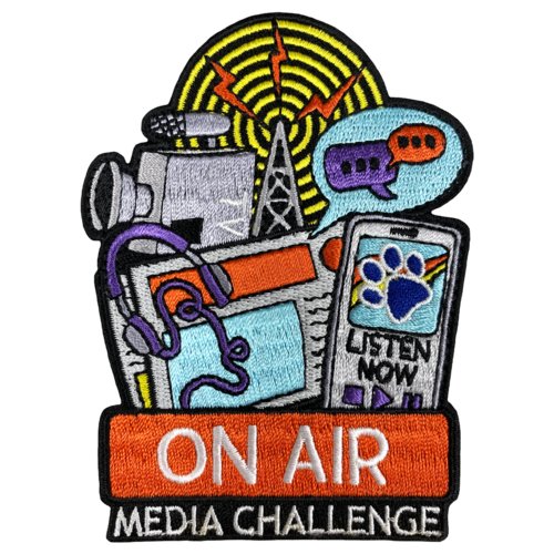 Media Challenge