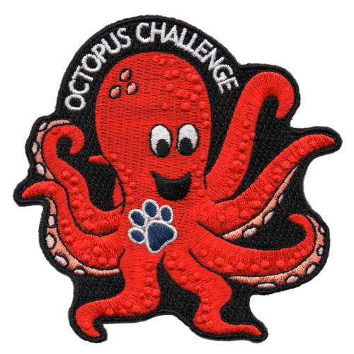 Octopus Challenge