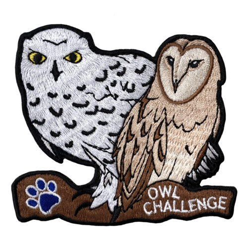 Owl Challenge