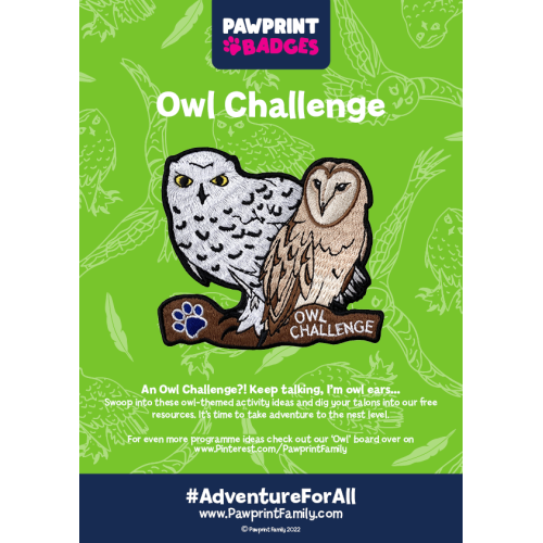 Owl Challenge Pack