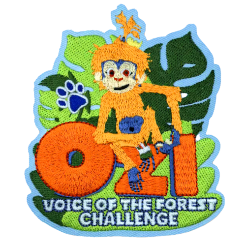 Ozi: Voice of the Forest Challenge