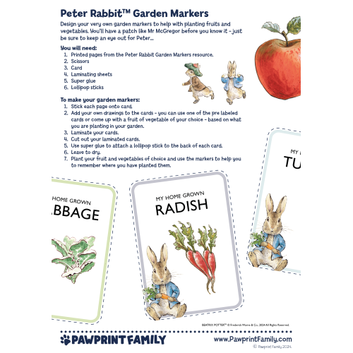 Peter Rabbit Garden Markers