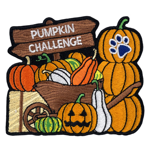 Pumpkin Challenge