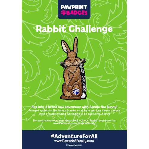 Rabbit Challenge Pack