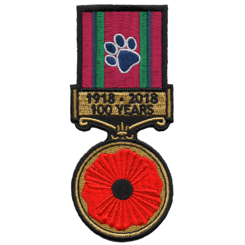 Remembrance Day - 100 Years