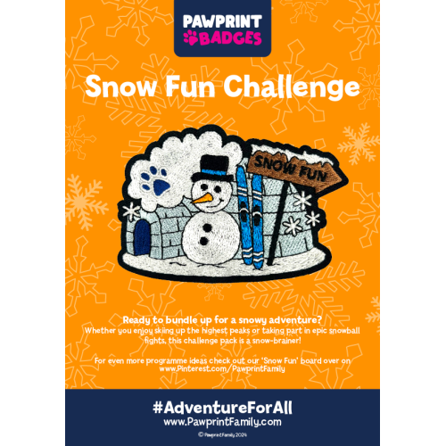 Snow Fun Challenge Pack