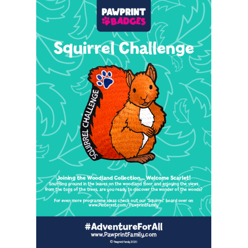 Squirrel Challenge Pack